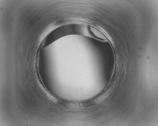 X0000081430901200701261819