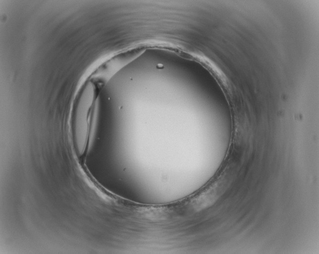 X0000081430902200701261819