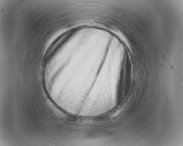 X0000081430903200701261819