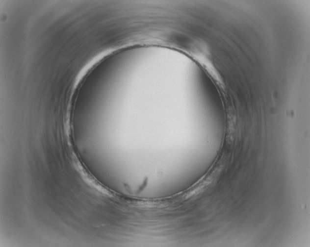 X0000081430904200701261819