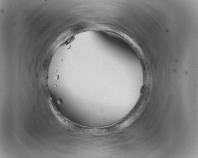 X0000081430905200701261819