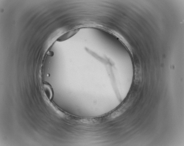 X0000081430906200701261819