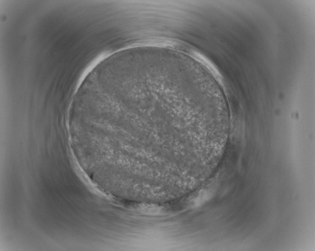 X0000081430907200701261819