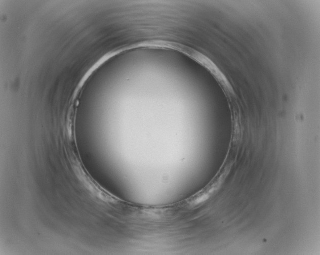 X0000081430908200701261819