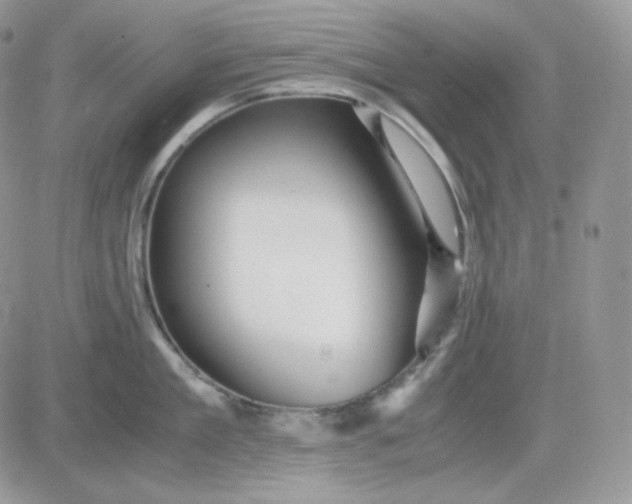 X0000081430909200701261819