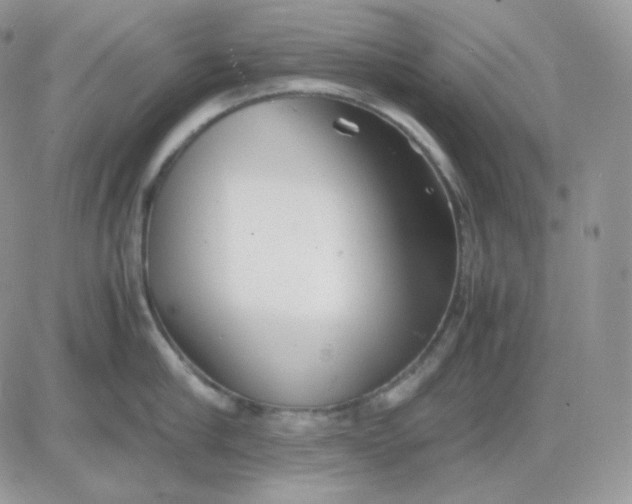 X0000081430910200701261819