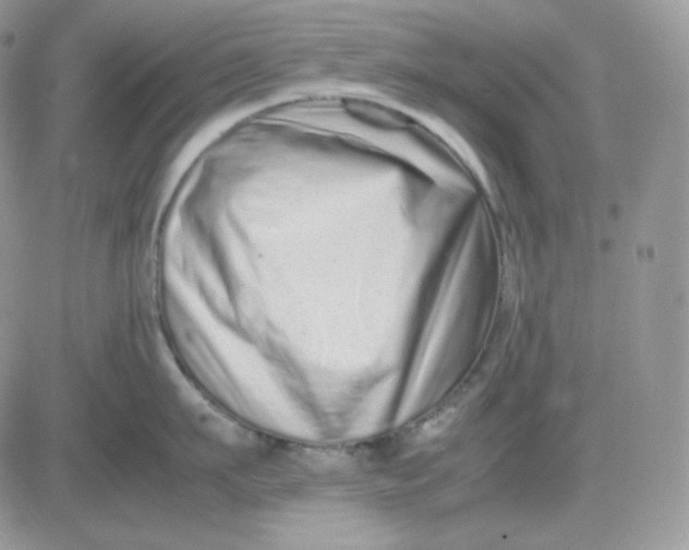 X0000081430911200701261819