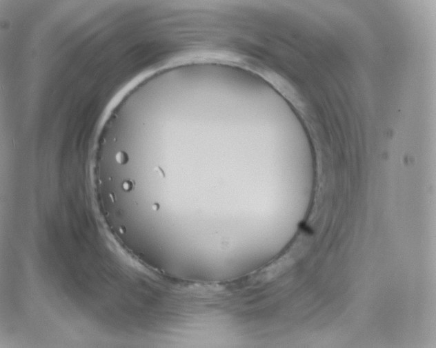 X0000081430912200701261819