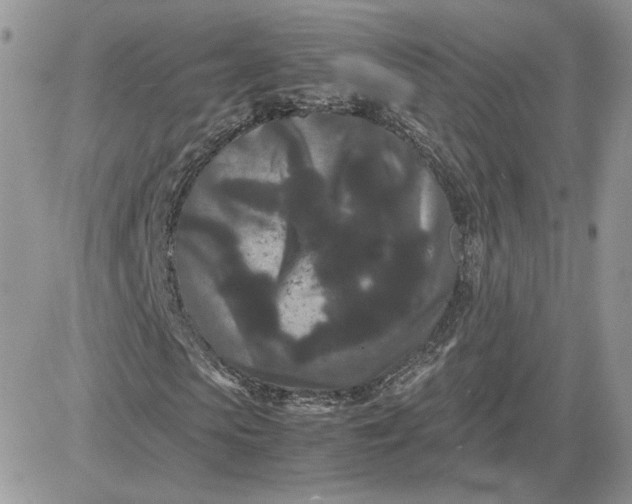 X0000081430913200701261818