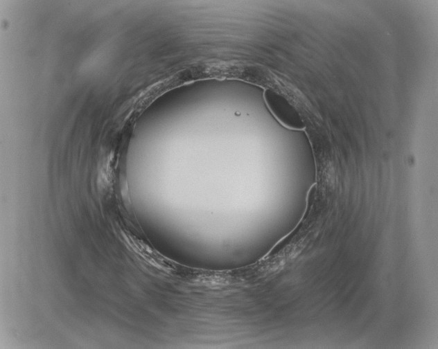 X0000081430914200701261818