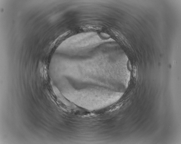 X0000081430915200701261819