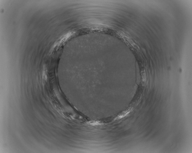 X0000081430916200701261819