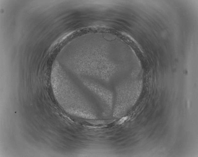 X0000081430919200701261819