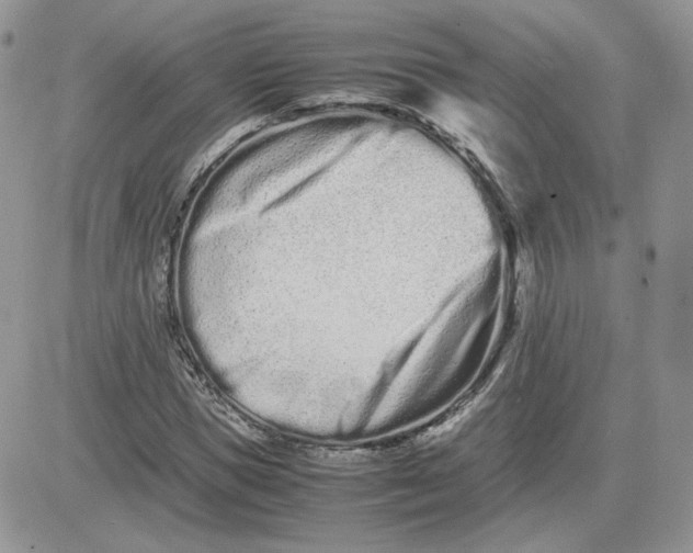 X0000081430921200701261819