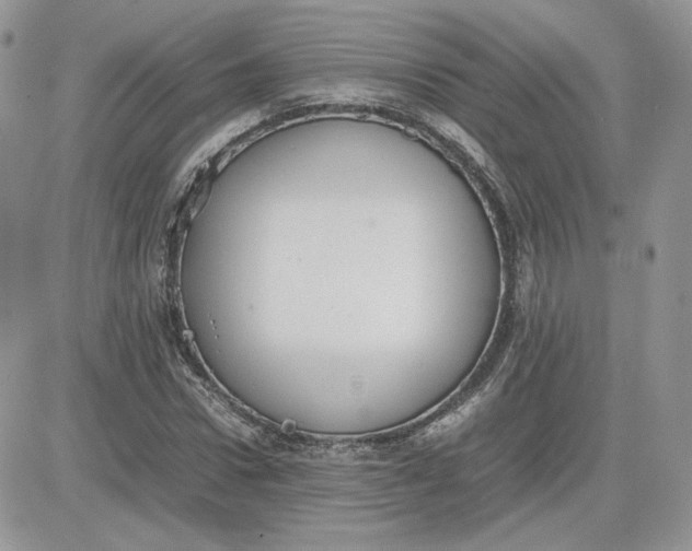 X0000081430922200701261819