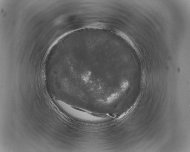 X0000081430923200701261819