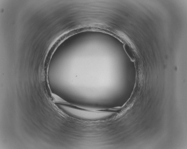 X0000081430924200701261819