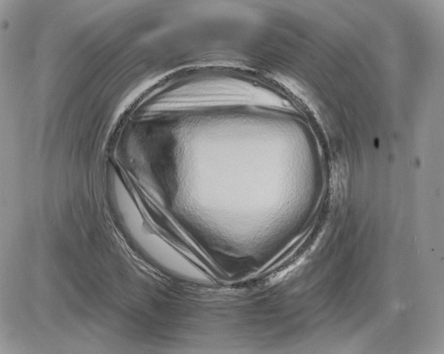 X0000081430925200701261819