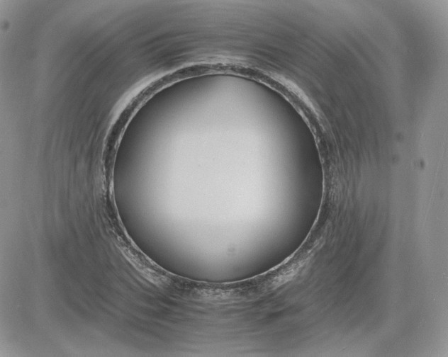 X0000081430927200701261819