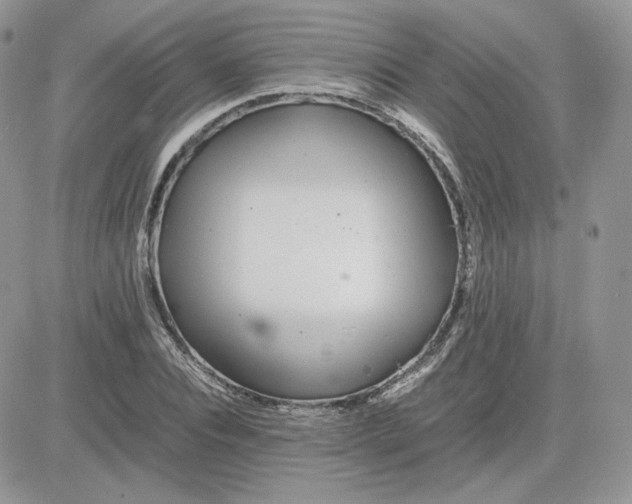 X0000081430928200701261819