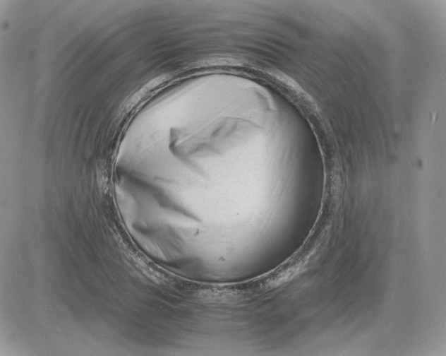 X0000081430929200701261819