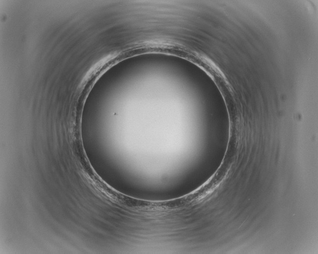 X0000081430930200701261819