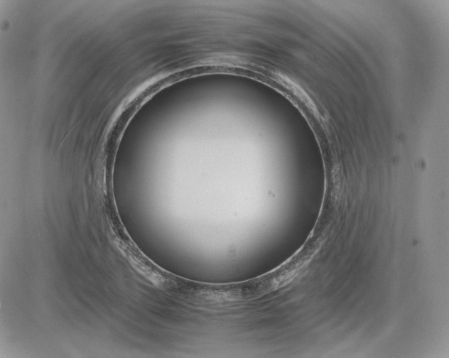 X0000081430931200701261819