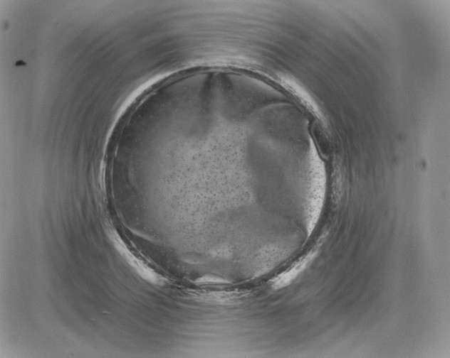 X0000081430932200701261819