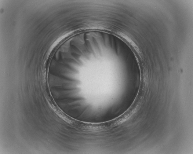 X0000081430933200701261819