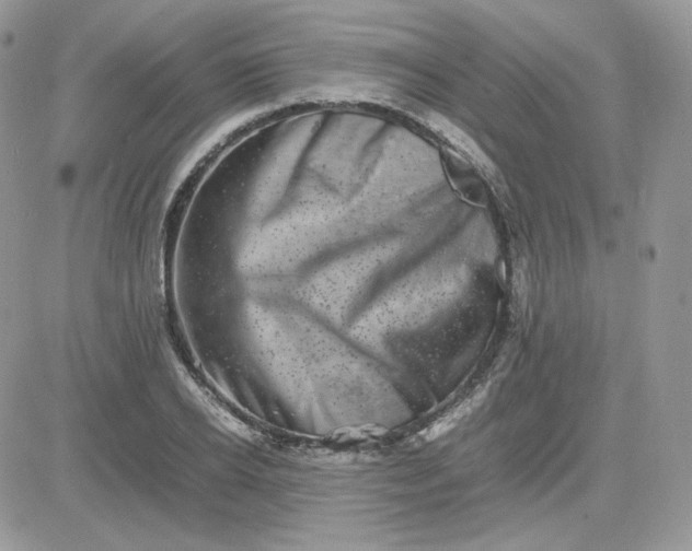 X0000081430934200701261819