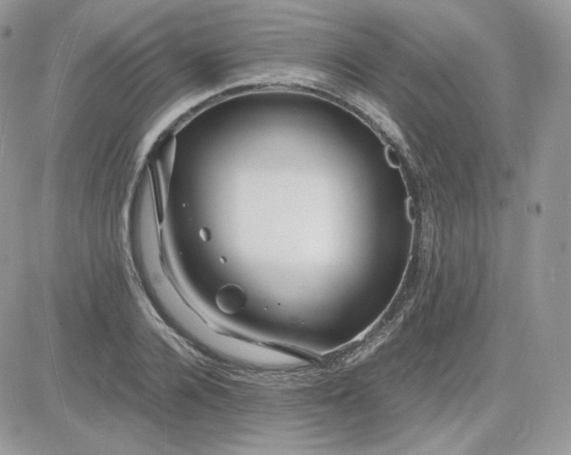 X0000081430936200701261819