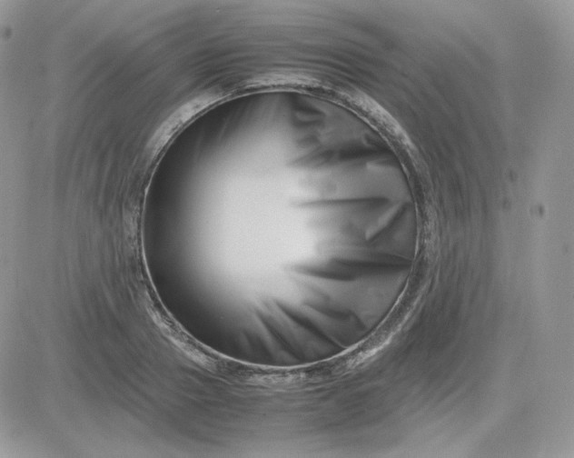 X0000081430937200701261819