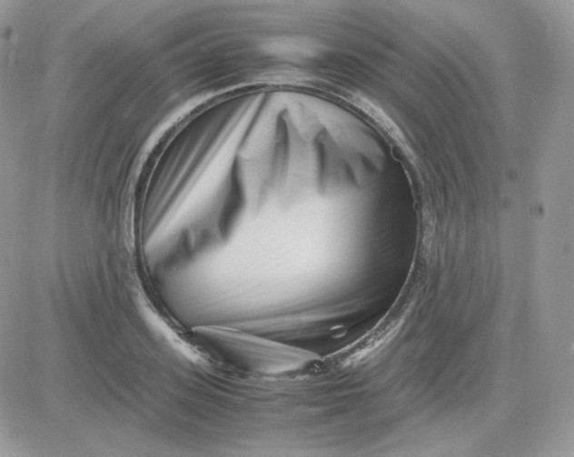 X0000081430939200701261819