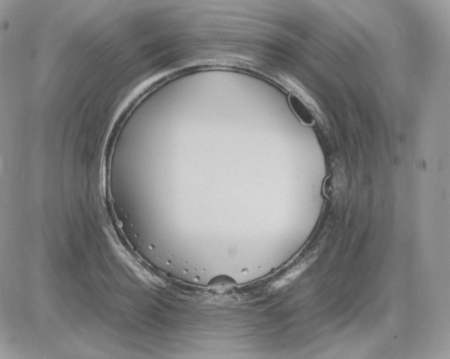 X0000081430940200701261819