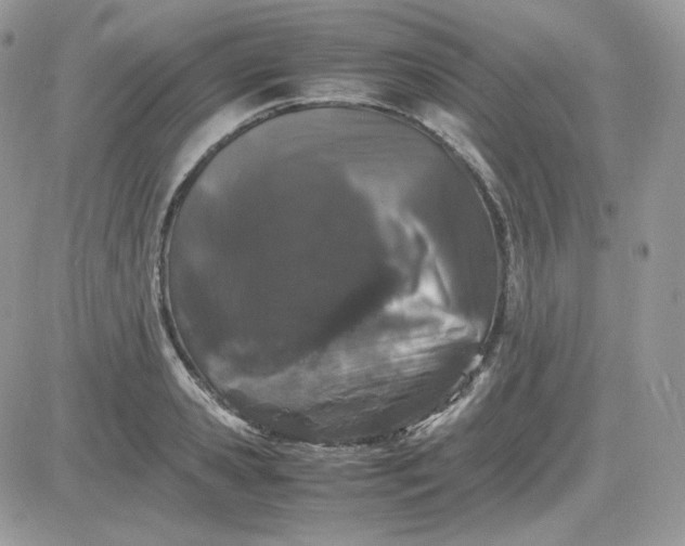 X0000081430941200701261819