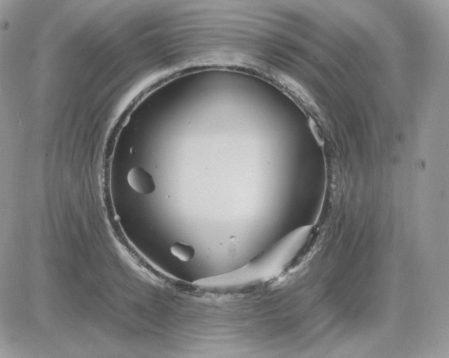 X0000081430942200701261819