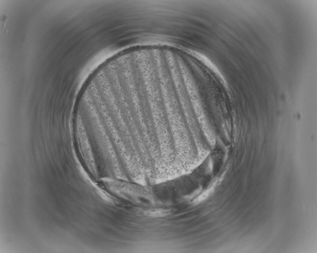 X0000081430943200701261819