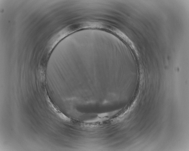 X0000081430945200701261819