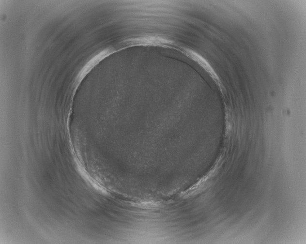 X0000081430946200701261819