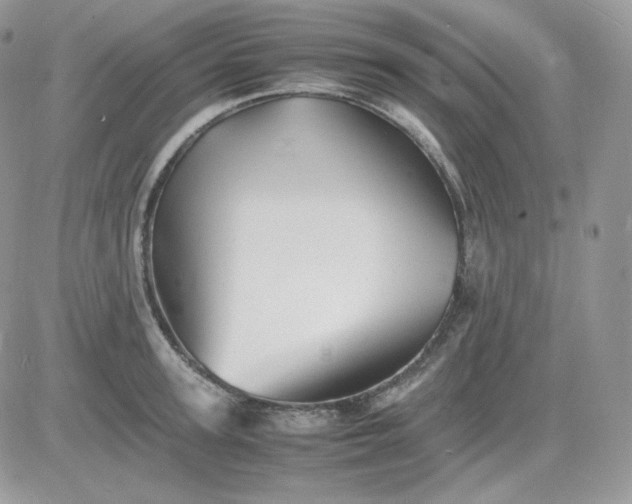 X0000081430947200701261819