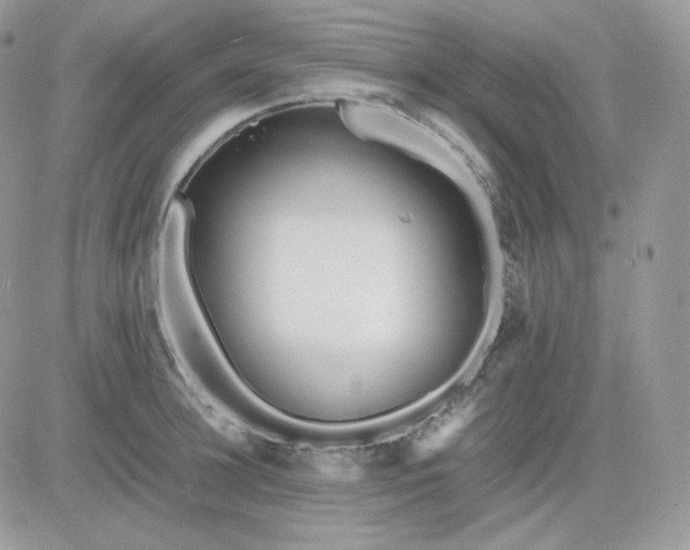 X0000081430948200701261819