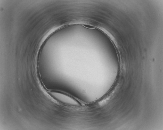 X0000081430949200701261819