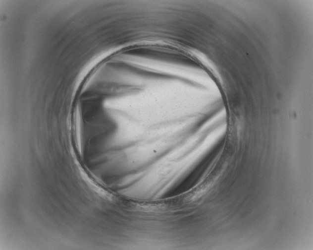 X0000081430951200701261819