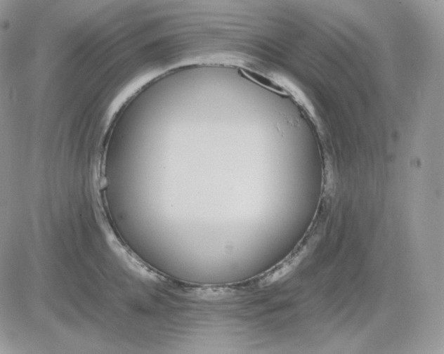 X0000081430952200701261819