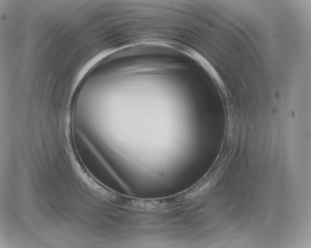 X0000081430955200701261819