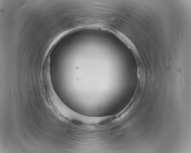 X0000081430956200701261819