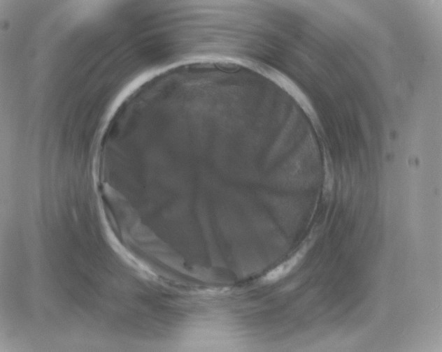 X0000081430958200701261819