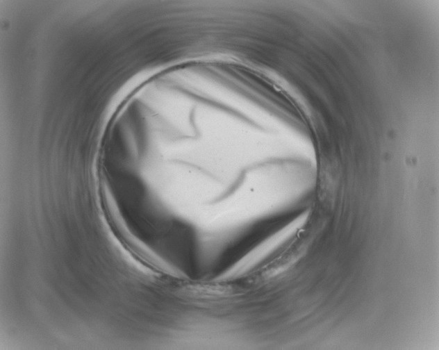 X0000081430959200701261819