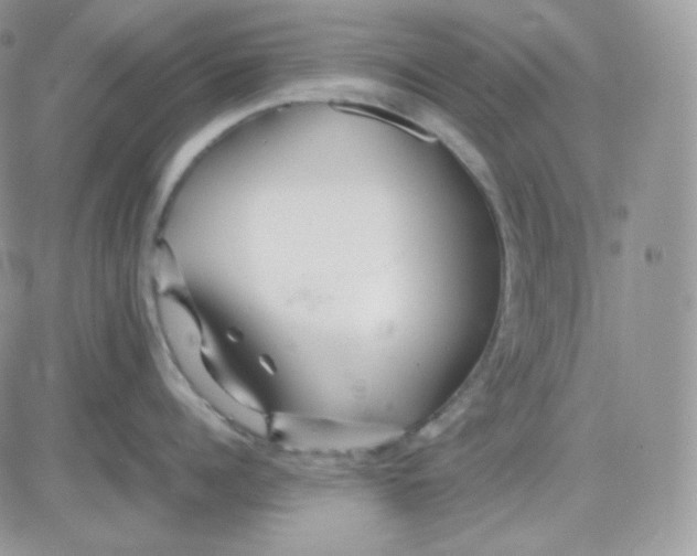 X0000081430960200701261819