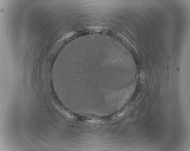 X0000081430961200701261818